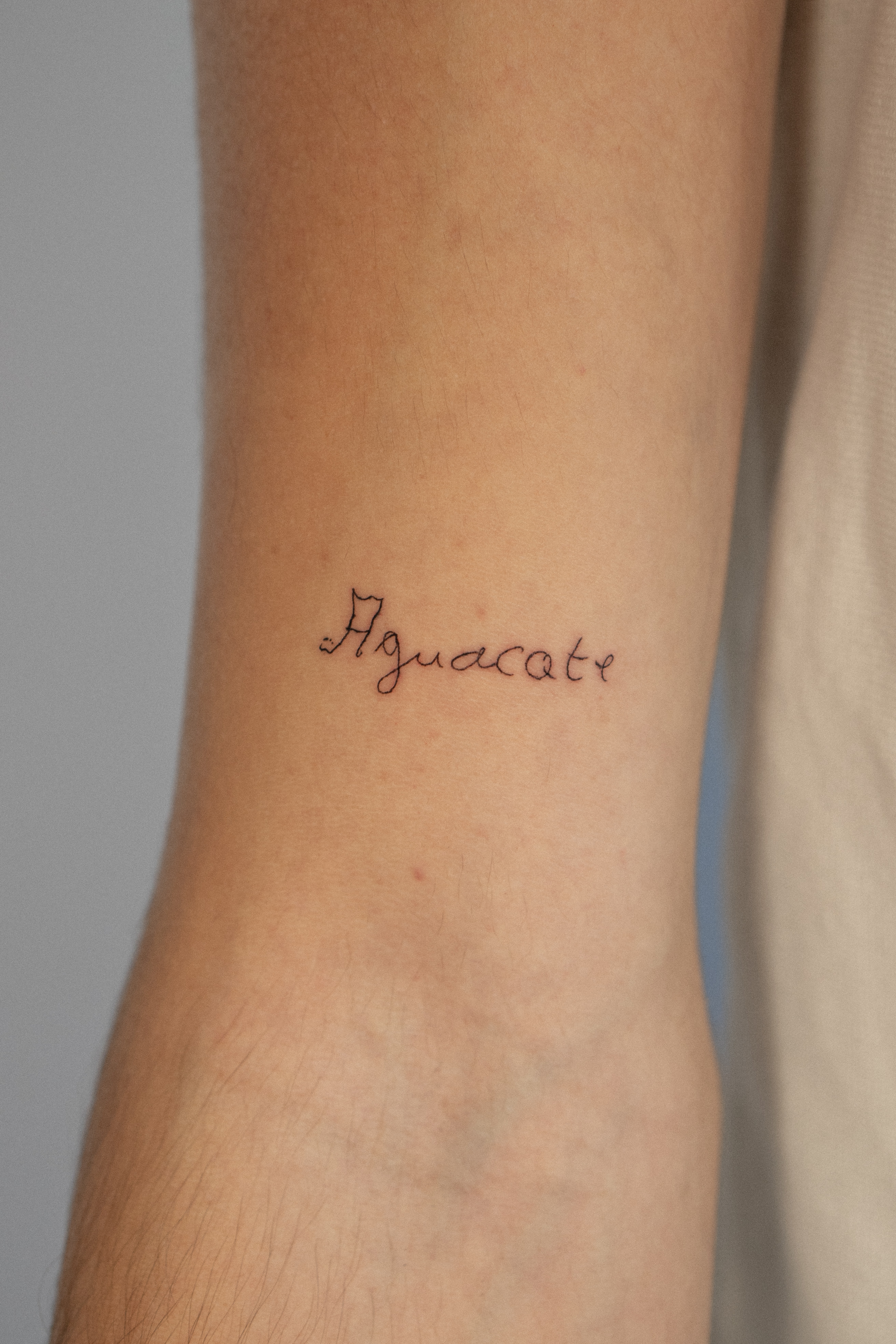 tatuaje fine line objeto cotidiano aguacate Maflex Santander