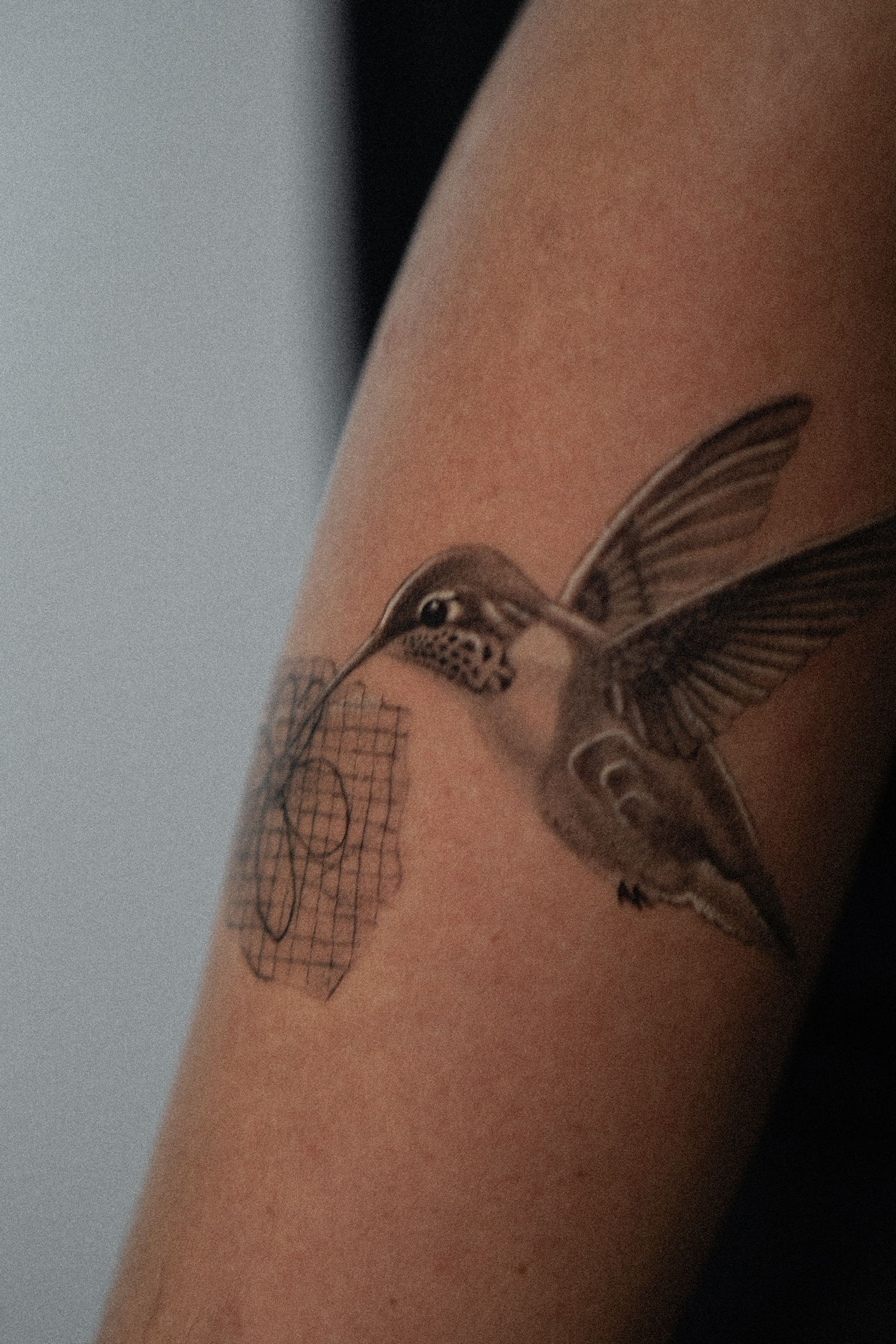 tatuaje microrealismo pájaro pequeño detallado Santander
