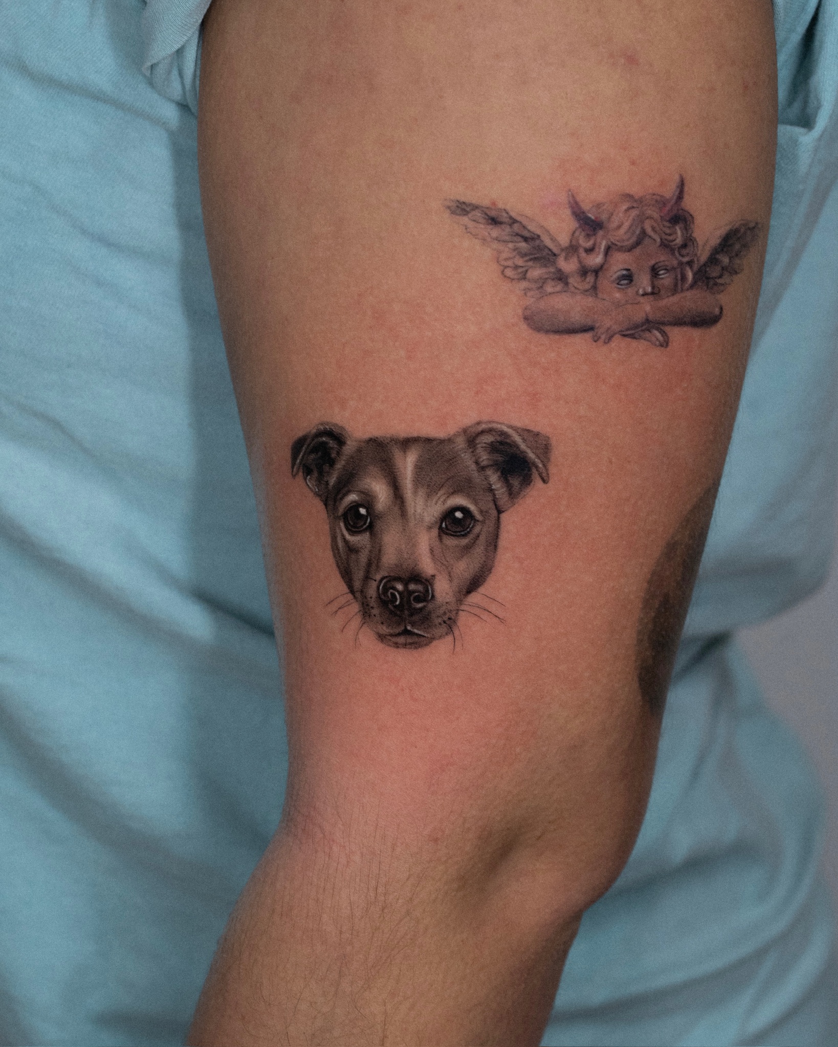 tatuaje microrealismo retrato animal preciso por Maflex Santander